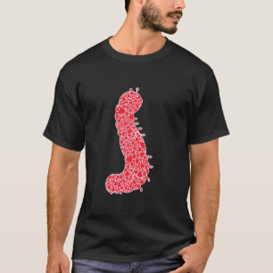 Caterpillar Hearts Valentine S Day Butterfly Lover T-Shirt