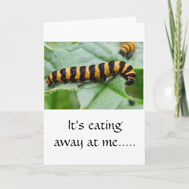 Caterpillar - I'm sorry card (Front)