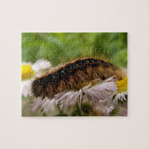 Caterpillar Jigsaw Puzzle