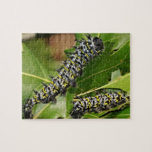 Caterpillar Jigsaw Puzzle