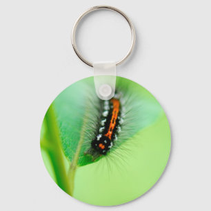 Caterpillar Key Ring
