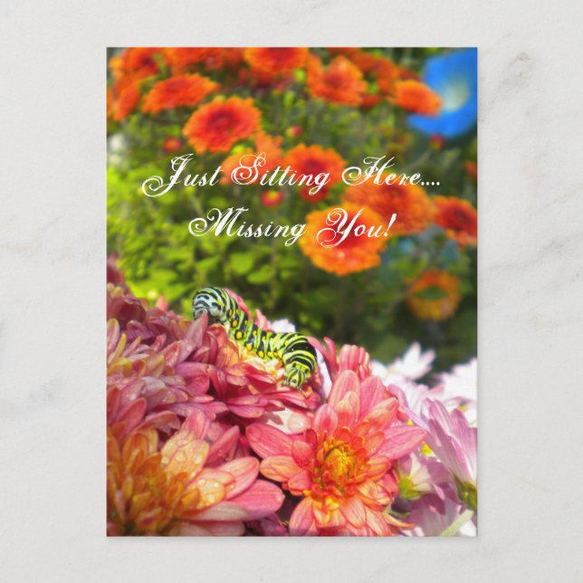 Caterpillar Missing You postcard (Front)