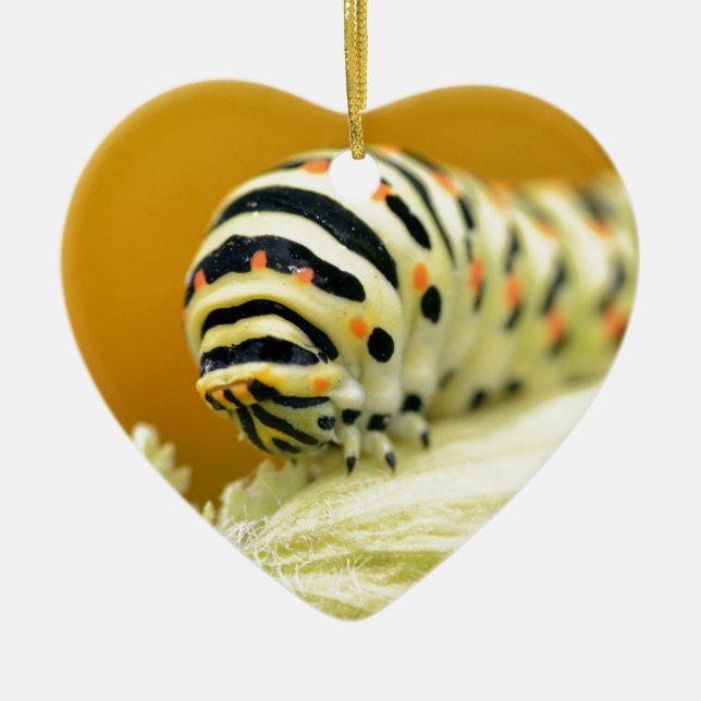 Caterpillar of swallowtail ceramic ornament (Front)