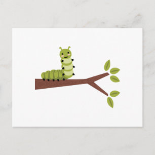 Caterpillar On Tree Postcard