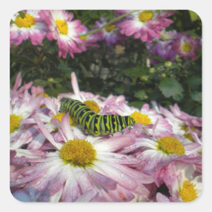 Caterpillar Stroll Sticker