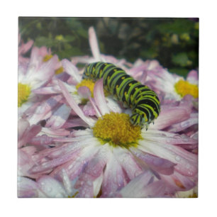 Caterpillar Stroll Tile Trivet