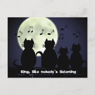 caterwauling by moonlight postcard