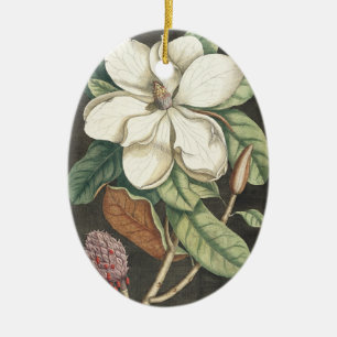 Catesby Vintage Magnolia Botanical Illustration Ceramic Ornament