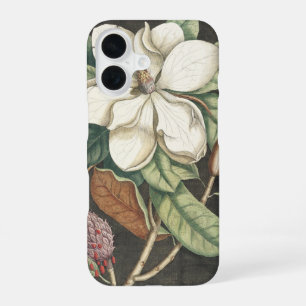 Catesby Vintage Magnolia Botanical Illustration iPhone 16 Case