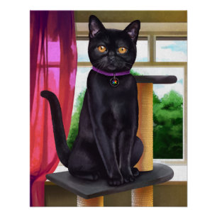 CatFans - Bombay Black Cat Poster
