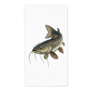 Catfish