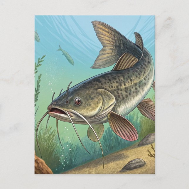 Catfish Holiday Postcard (Front)
