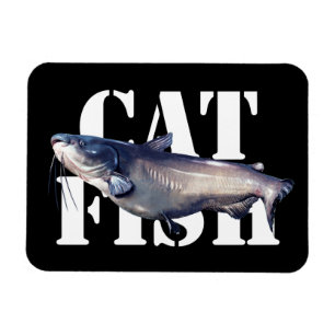 Catfish Magnet