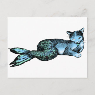 Catfish Postcard