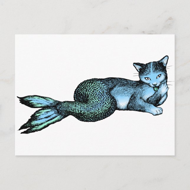 Catfish Postcard (Front)