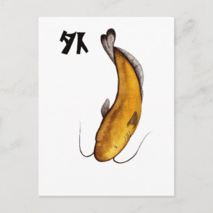 catfish Void Postcard