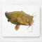 Catfishing Fishing