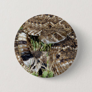 CATH SNAKE 1 6 CM ROUND BADGE