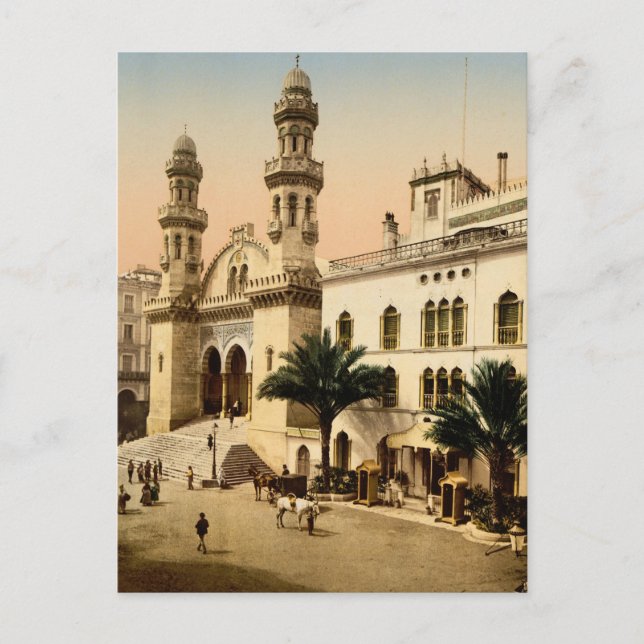Cathedral Algiers Algeria Postcard (Front)