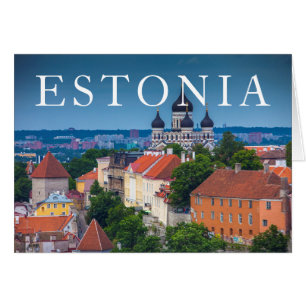 Cathedral and Cityscape   Estonia