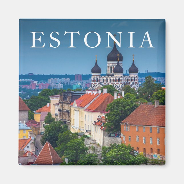 Cathedral and Cityscape | Estonia Magnet (Front)