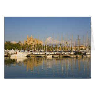 Cathedral and marina, Palma, Mallorca, Spain