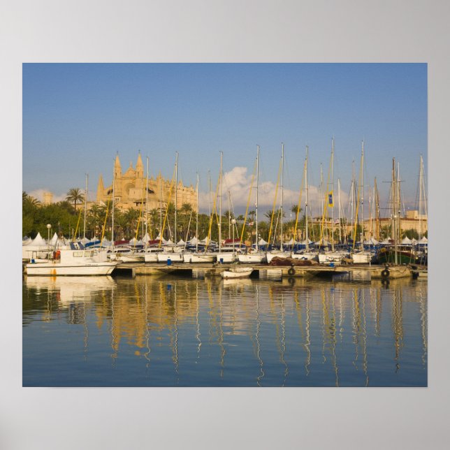 Cathedral and marina, Palma, Mallorca, Spain Poster (Front)