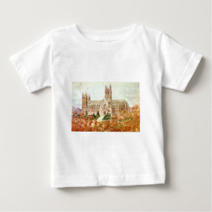 Cathedral Church of Saint Peter and Saint Paul Baby T-Shirt