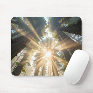 Cathedral of Giants Mouse Pad
