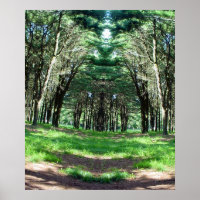 Cathedral of Trees Ken Gauge Photo Surrealism Art