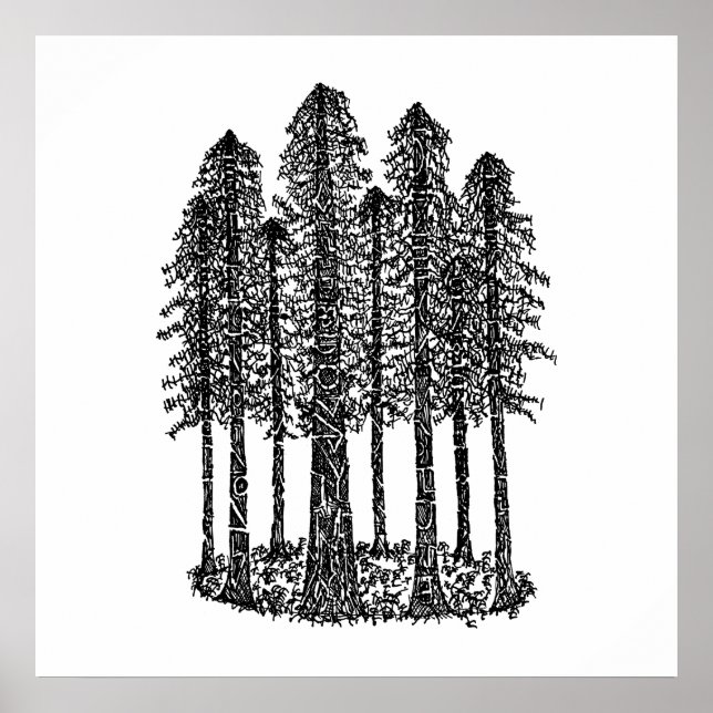 Cathedral Ring (Coastal Redwoods Sketch) Poster (Front)
