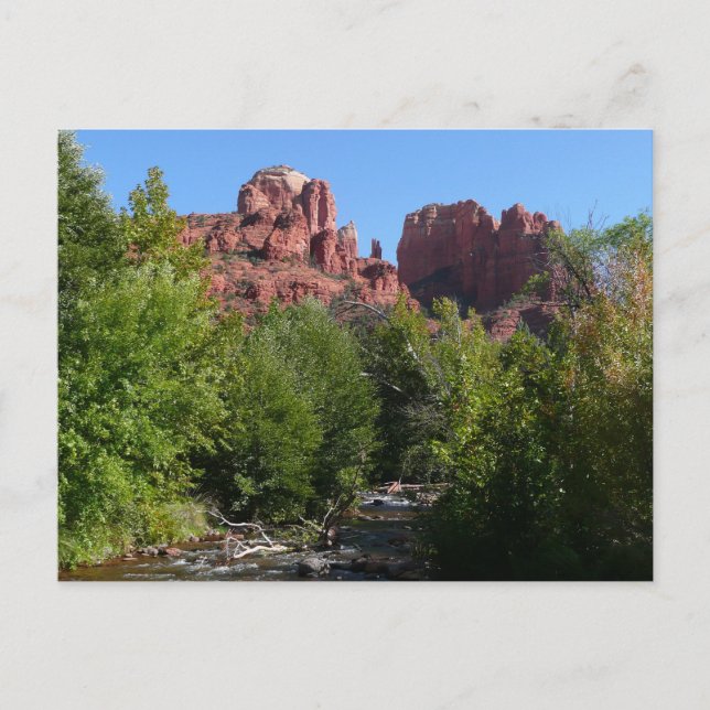 Cathedral Rock and Stream in Sedona Arizona Postcard (Front)