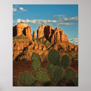 Cathedral Rock at Sunset from Secret Canyon Poster