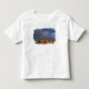 Cathedral Rocks in Sedona Arizona Toddler T-Shirt