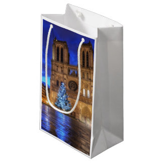Cathédrale Notre-Dame de Paris Small Gift Bag