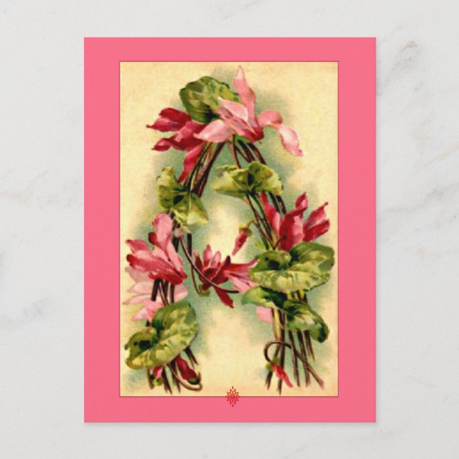Catherine Klein Flower Alphabet Letter A Postcard (Front)