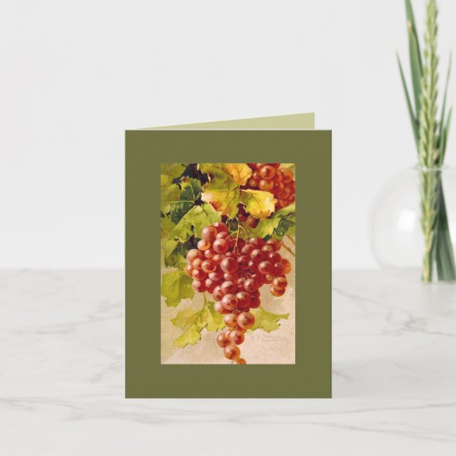Catherine Klein grapes.  NOTE CARD OLGR (Front)