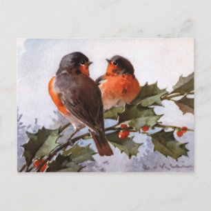 Catherine Klein: Robins on Holly Postcard