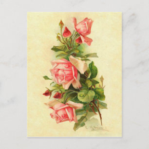 Catherine Klein Victorian Flower Roses Bouquet Postcard