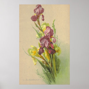 Catherine Klein Vintage Litho Reproduction Canvas Poster