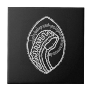 Catholic Blessed Virgin Mary White Lace on Black Ceramic Tile