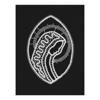 Catholic Blessed Virgin Mary White Lace on Black Photo Print
