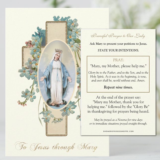 Catholic Prayer To Jesus through Mary  (Creator Uploaded)