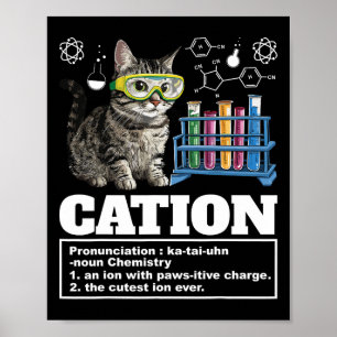 Cation Chemistry Humour Science Teacher Cat Pun Ca Poster