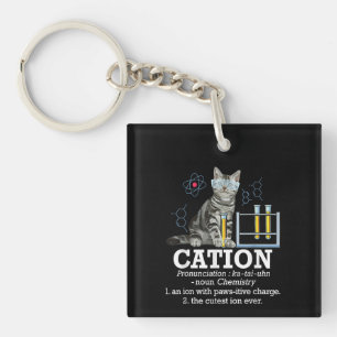 Cation Fun Chemistry Humour Science Teacher Cat Pu Key Ring