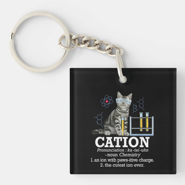 Cation Fun Chemistry Humour Science Teacher Cat Pu Key Ring (Front)