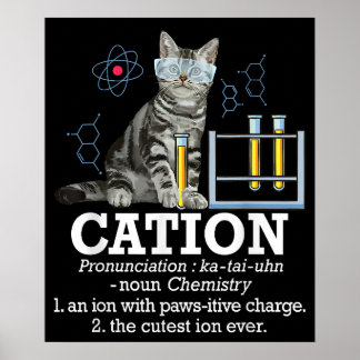 Cation Fun Chemistry Humour Science Teacher Cat Pu Poster