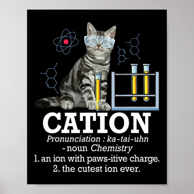 Cation - Funny Chemistry Humour Science Teacher Ca Poster (Front)