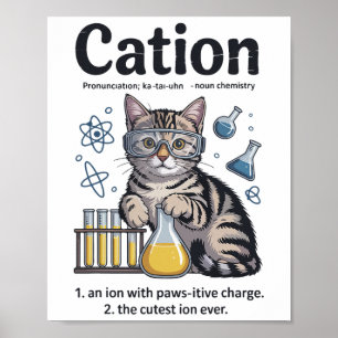 Cation Shirt Cat Science Chemistry Teacher Funny C Poster