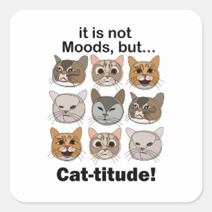 Catitude Cat Moods Cat Lovers Square Sticker